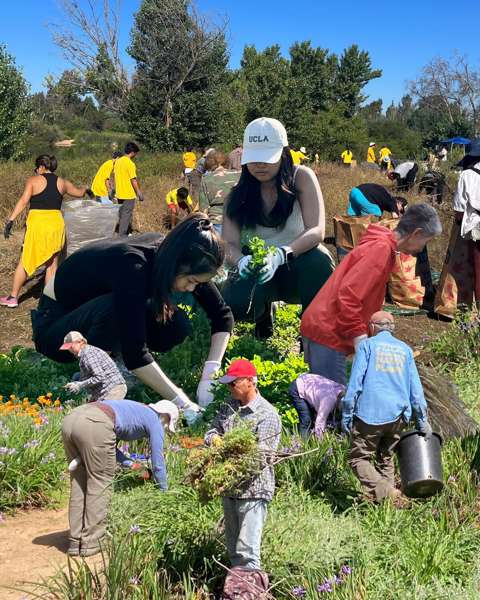 Hunter Clarke-Fields, MSAE: Хантер Кларк-Филдс деген кім?