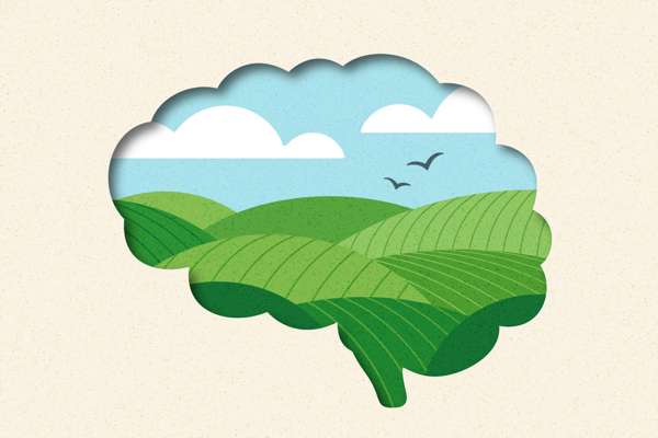 Ұйқыдағы зерде: Мидың түнгі ревизиясы неге біздің бақытымыздың кепілі?