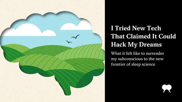 Karen Van Kampen: Түнгі өмір: Процессордың өшпейтін шамы